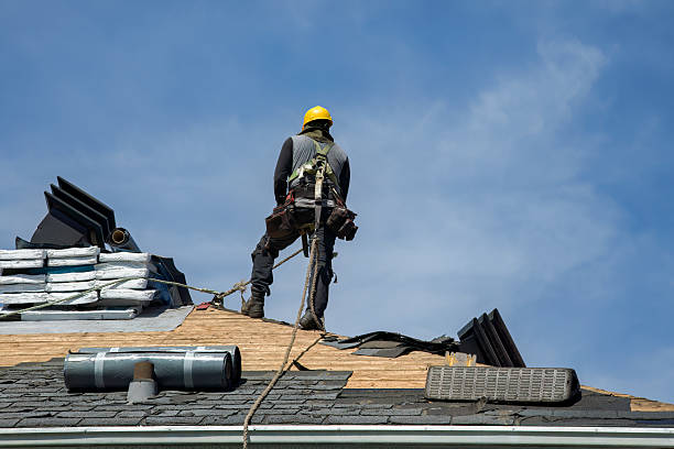 Professional Gutter Installation technician working in Canton, TX